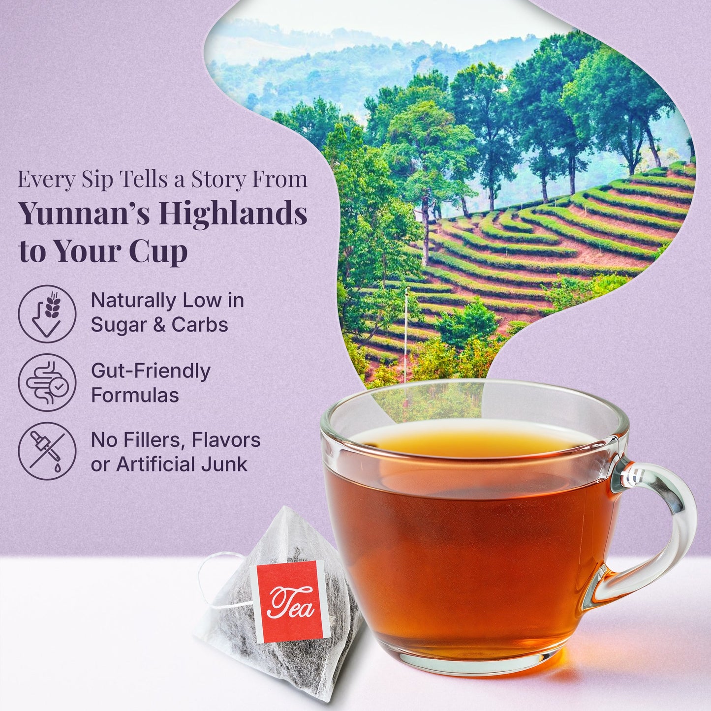 3x PiPi Tea Organic Tea Bags | Tea Leaves From Pu'er | Non GMO, Gluten Free, Naturally High Grown | Whole Loose-Leaf Tea Bags Beverage