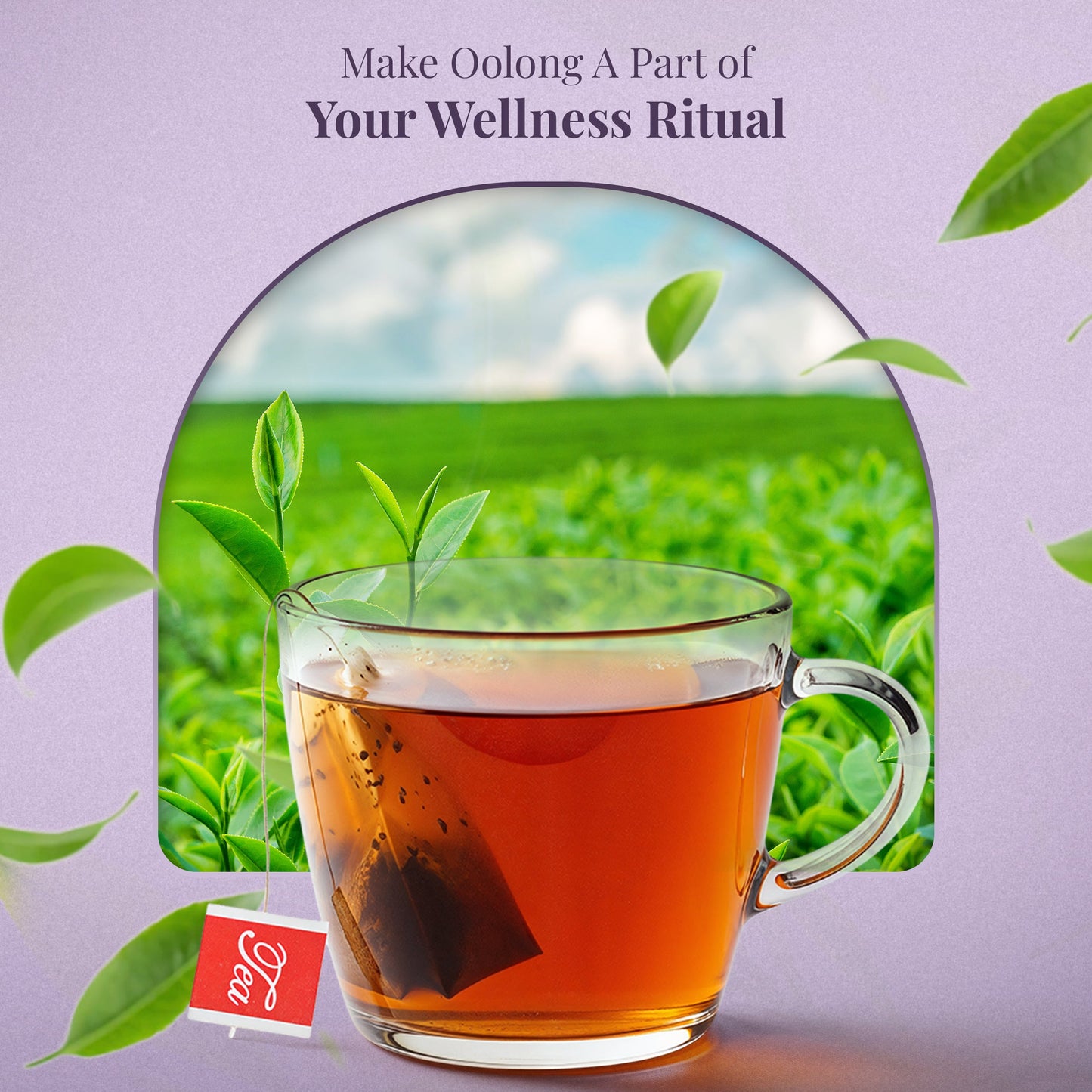 5x PiPi Tea Organic Tea Bags | Tea Leaves From Pu'er | Non GMO, Gluten Free, Naturally High Grown | Whole Loose-Leaf Tea Bags Beverage